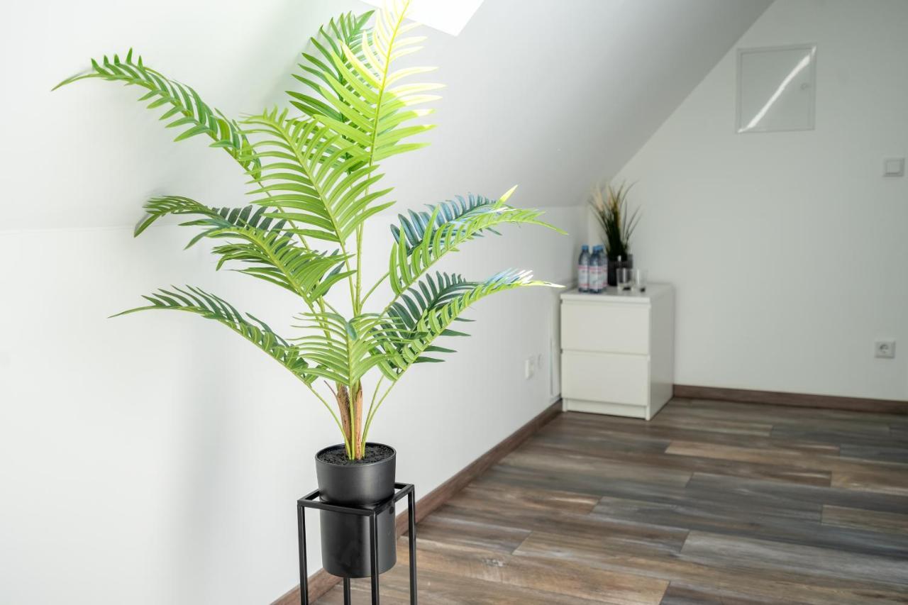 Xxl Superior 1 - 10 Personen Appartement *